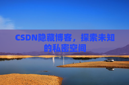 CSDN隐藏博客，探索未知的私密空间